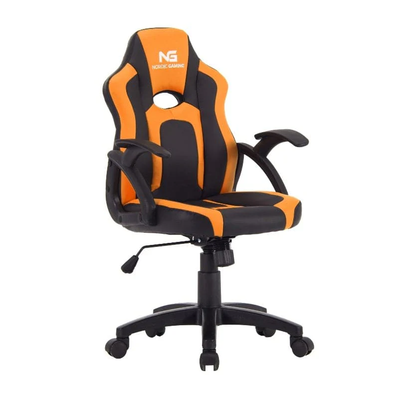 Miniaturebillede 1